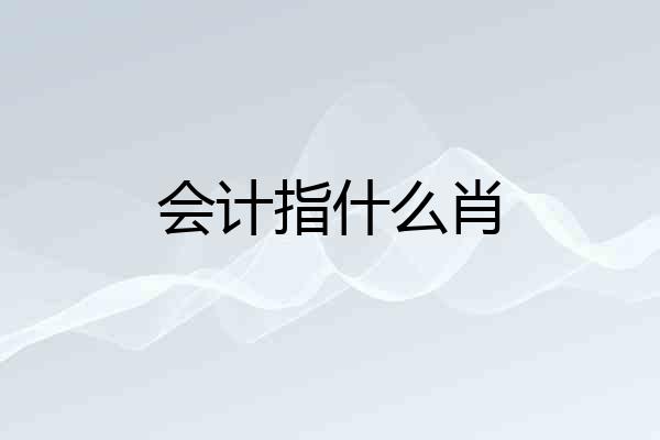 会计指什么肖