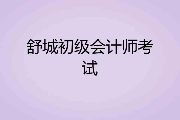 舒城初级会计师考试