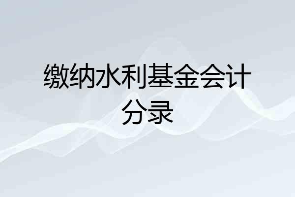 缴纳水利基金会计分录