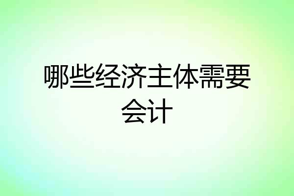 哪些经济主体需要会计