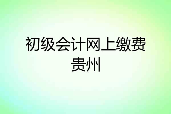 初级会计网上缴费贵州