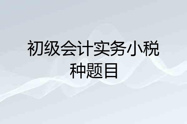 初级会计实务小税种题目