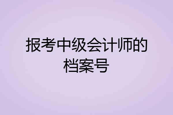 报考中级会计师的档案号