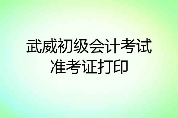 武威初级会计考试准考证打印