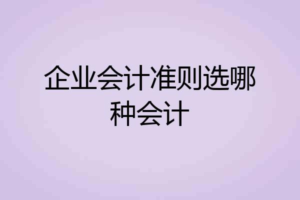 企业会计准则选哪种会计