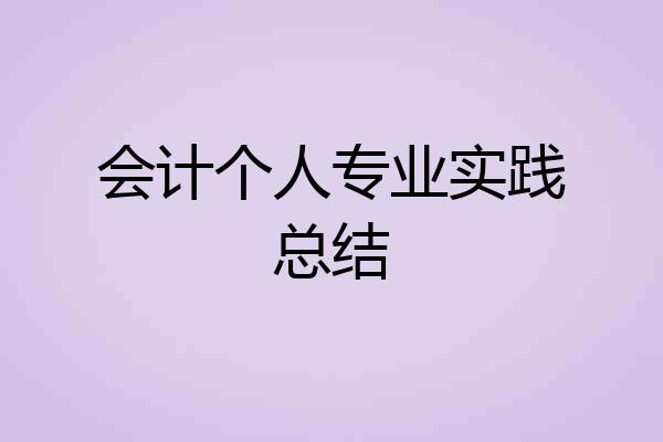 会计个人专业实践总结