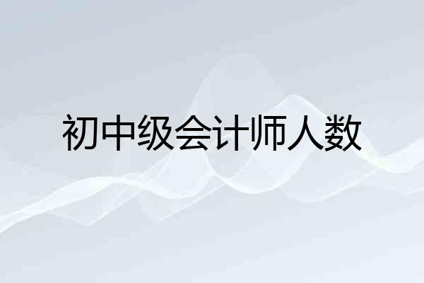 初中级会计师人数
