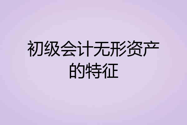 初级会计无形资产的特征