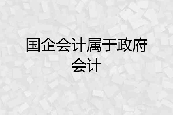 国企会计属于政府会计