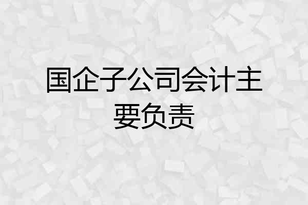国企子公司会计主要负责