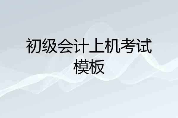 初级会计上机考试模板