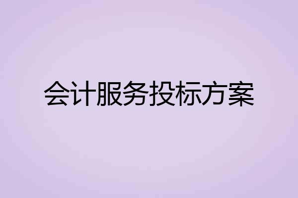 会计服务投标方案