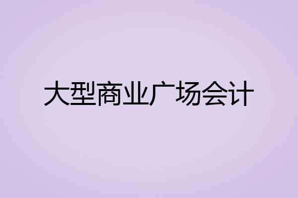 大型商业广场会计