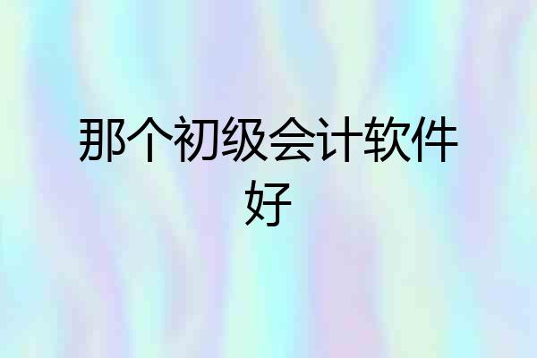 那个初级会计软件好