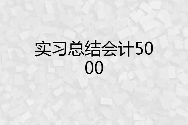 实习总结会计5000