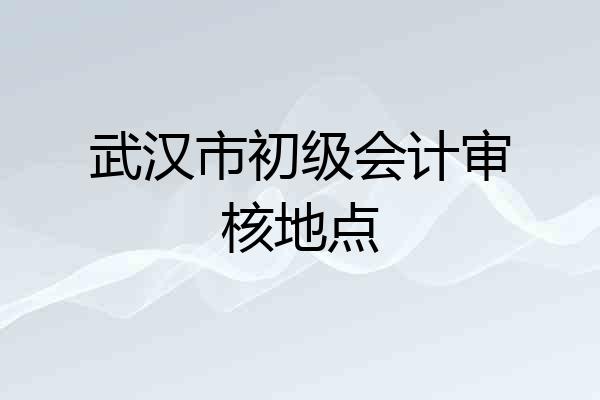 武汉市初级会计审核地点