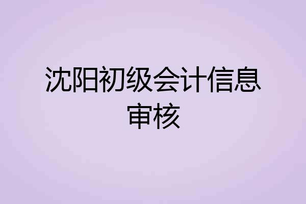 沈阳初级会计信息审核