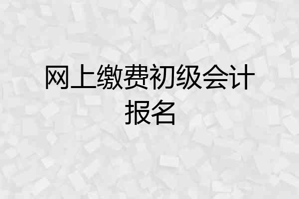 网上缴费初级会计报名