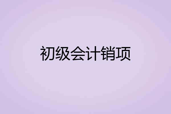 初级会计销项