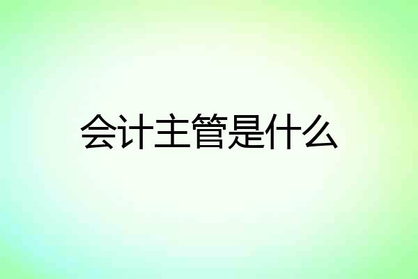 会计主管是什么