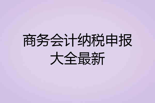 商务会计纳税申报大全最新