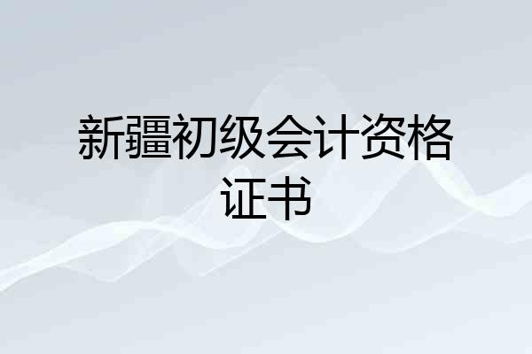 新疆初级会计资格证书