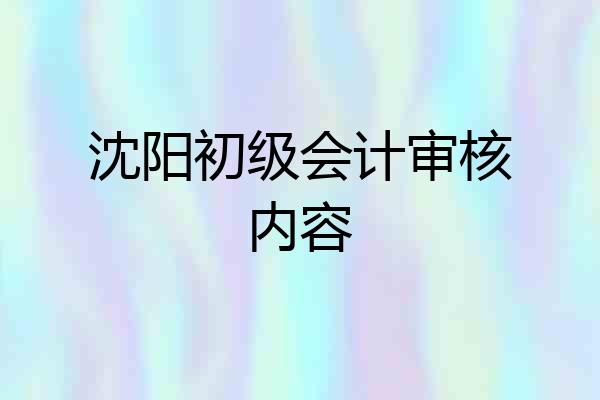 沈阳初级会计审核内容