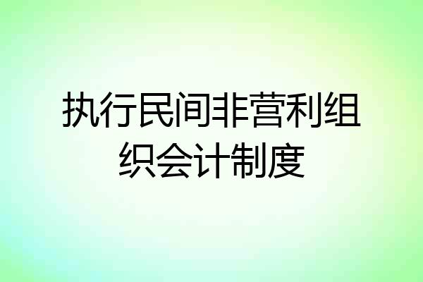 执行民间非营利组织会计制度