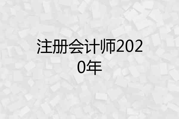 注册会计师2020年