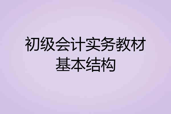 初级会计实务教材基本结构