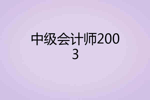 中级会计师2003