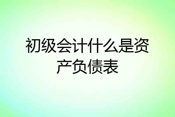 初级会计什么是资产负债表