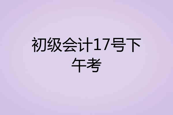 初级会计17号下午考