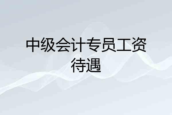 中级会计专员工资待遇