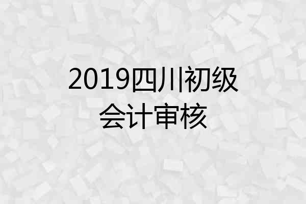 2019四川初级会计审核