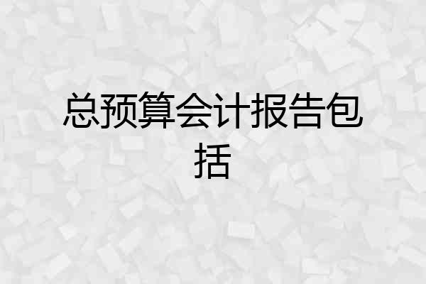总预算会计报告包括