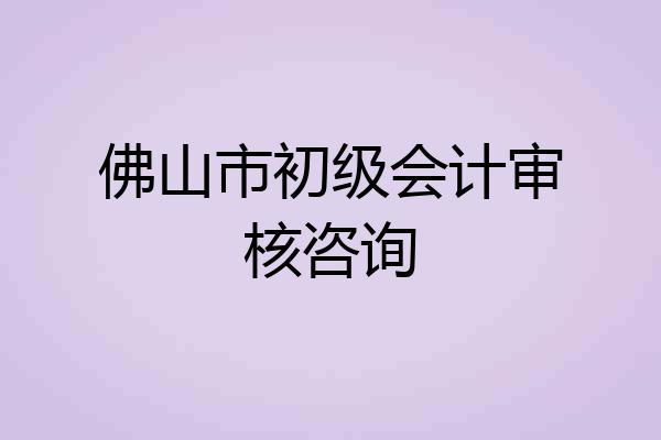 佛山市初级会计审核咨询