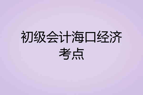 初级会计海口经济考点