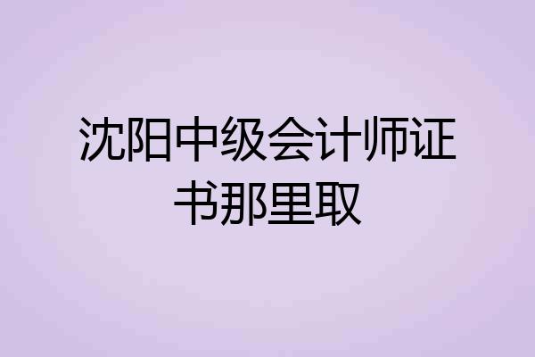 沈阳中级会计师证书那里取