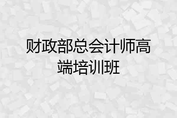 财政部总会计师高端培训班