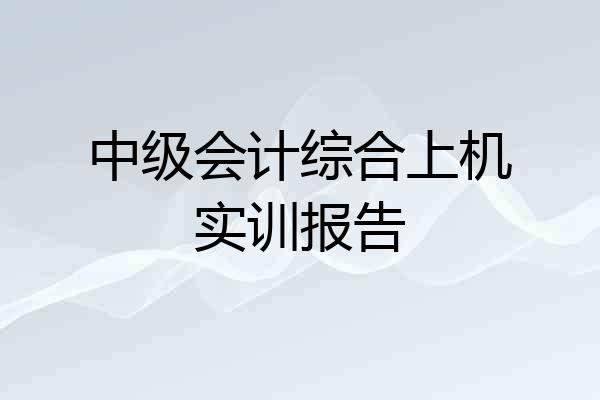 中级会计综合上机实训报告