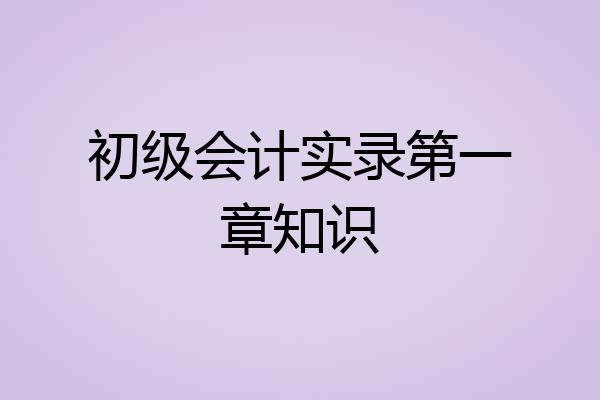 初级会计实录第一章知识