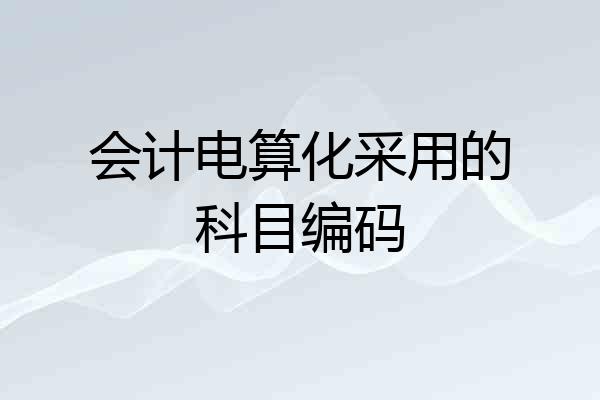 会计电算化采用的科目编码