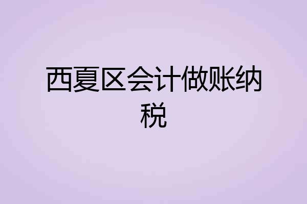 西夏区会计做账纳税