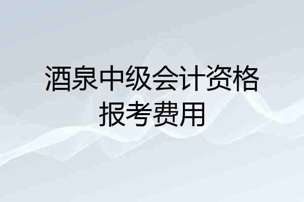 酒泉中级会计资格报考费用