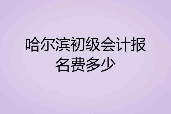 哈尔滨初级会计报名费多少