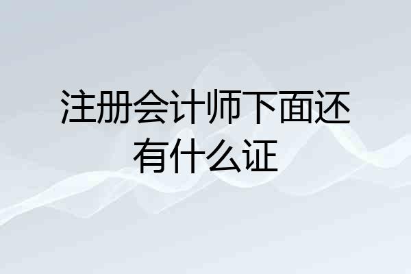 注册会计师下面还有什么证