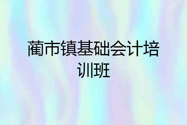 蔺市镇基础会计培训班