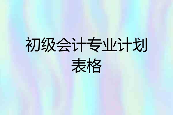 初级会计专业计划表格