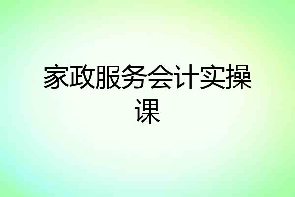 家政服务会计实操课